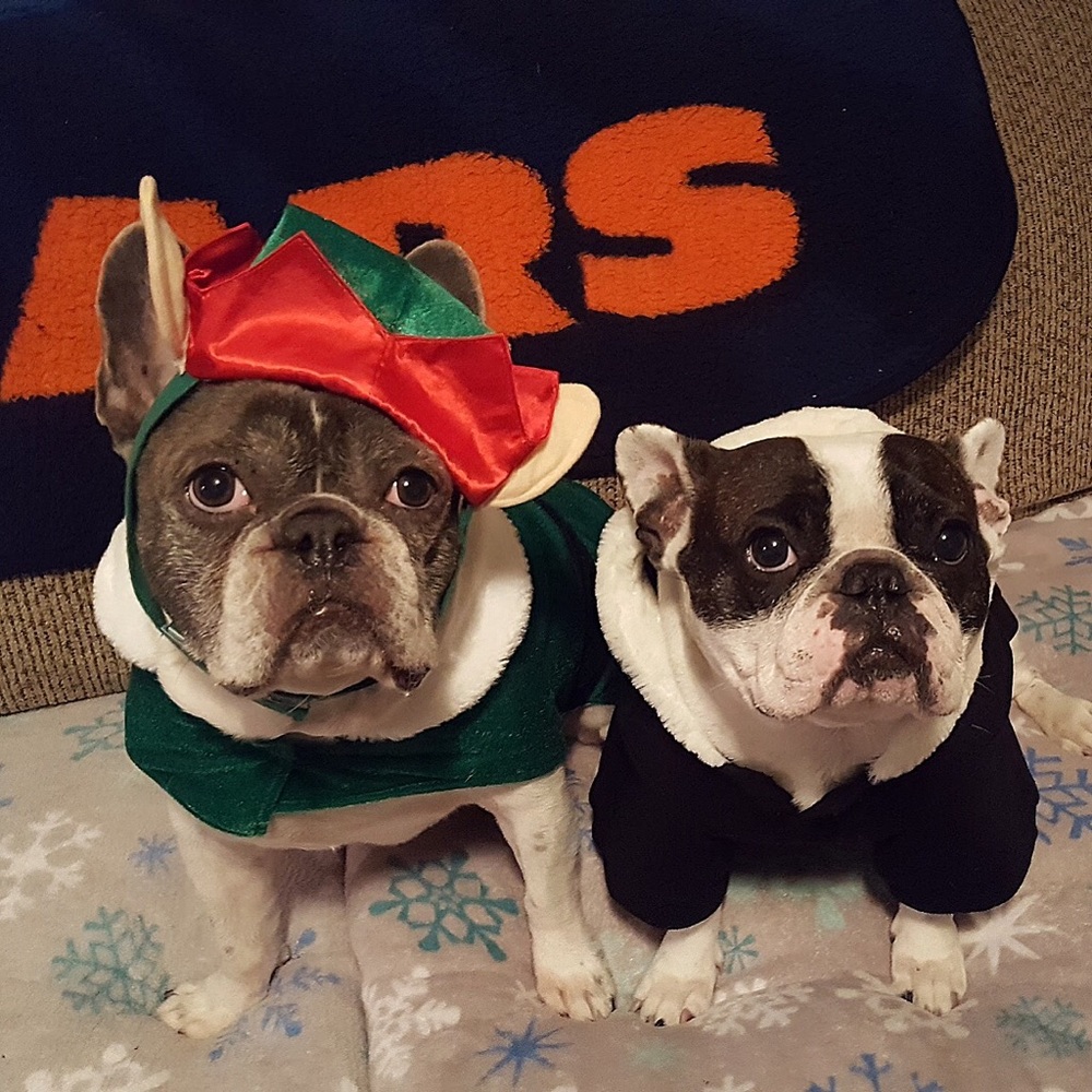 my “kids”—Bully & Lily‼️😍😍 - Picture 4 of 6
